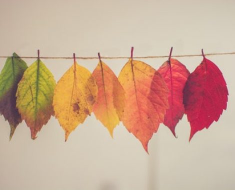 herfstblaaderen op kleur